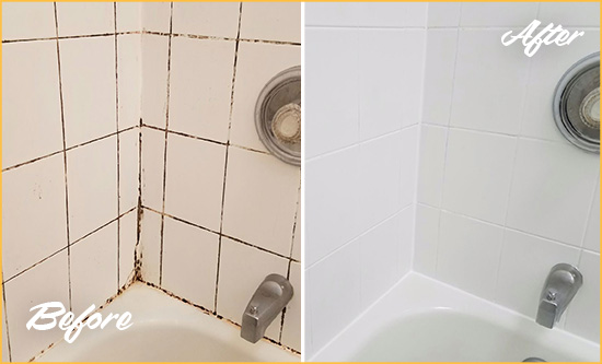 Before and After Picture of a Delmar Shower Tile and Grout Cleaned to Eliminate Mold
