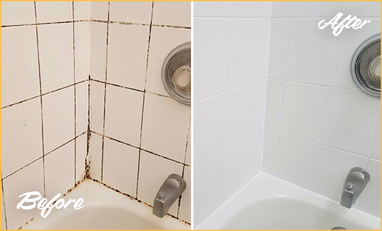 Before and After Picture of a Toddville Shower Tile and Grout Cleaned to Eliminate Mold