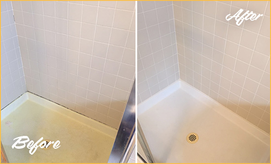 Before and After Picture of a Ridgely Shower Sealed to Remove and Protect Against Mold