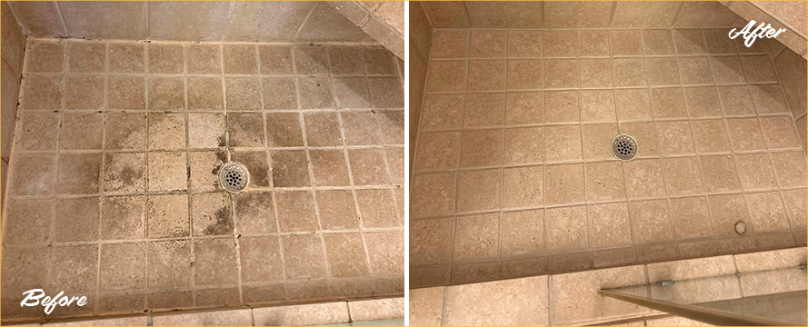 Shower Restored by Our Professional Tile and Grout Cleaners in Ocean City, MD